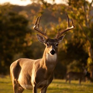 Meet your Posher, Seth